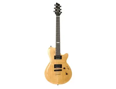 Godin Summit CT