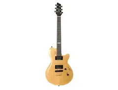 Godin Summit CT main image