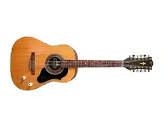 Hofner (Höfner) 490/E 12 String Guitar