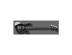 Status B-2 Bass main image