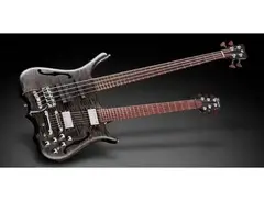 Warwick Infinity / Panthera Double neck Bass and Guitar