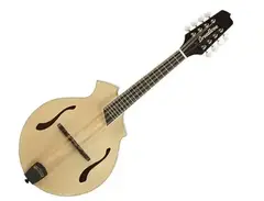 Breedlove KF Mandolin main image