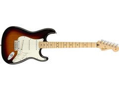 Stratocaster Player Series main image