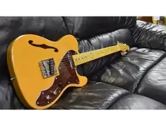 Tokai Breezysound Thinline Telecaster main image
