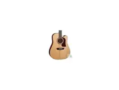 Washburn SBF24-12 main image