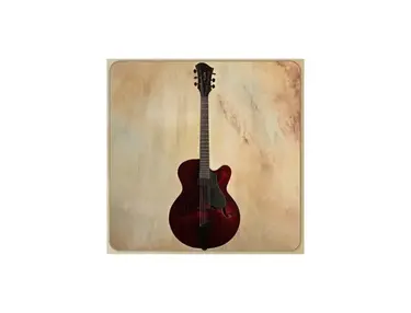 Moffa maestro archtop 7 string