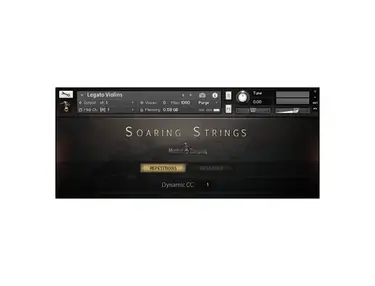 Musical Sampling Soaring Strings