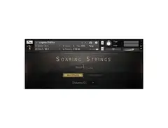 Musical Sampling Soaring Strings main image