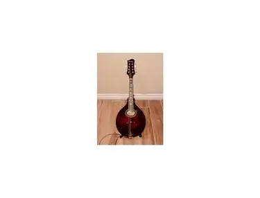 Eastman MD-504