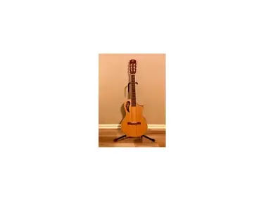 Peavey Composer AC Nylon