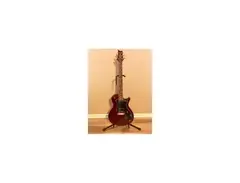PRS S2 Standard main image