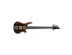 Alembic Essence Bass Guitar