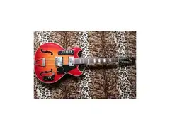 Goya Guitars Rangemaster Semi-hollow