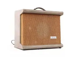 Silvertone Model 1432 10-Watt 1x12 Combo (1959-1961) main image