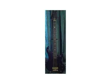 2010 Alembic Elan