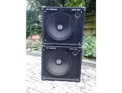 SWR Bassic Black main image
