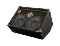 Eden Amplification Wedge Speaker