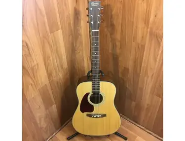 Ibanez PF5L