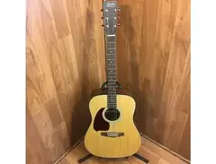 Ibanez PF5L main image