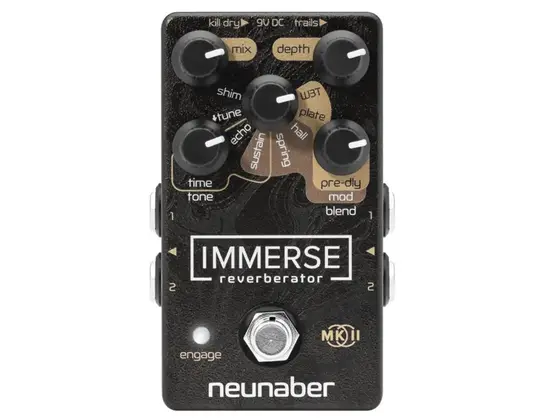 Neunaber Immerse Reverberator Mk II