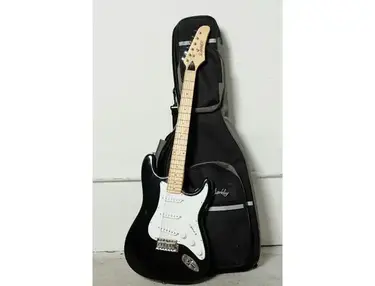 Hammer slammer telecaster
