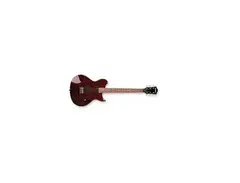 Washburn Bucklay main image