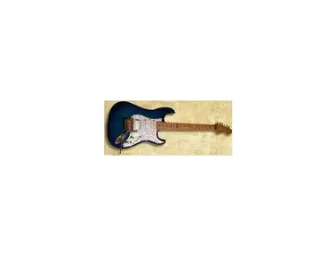 Fender Stratocaster - Dodicaster