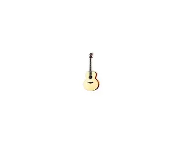 Taylor W15