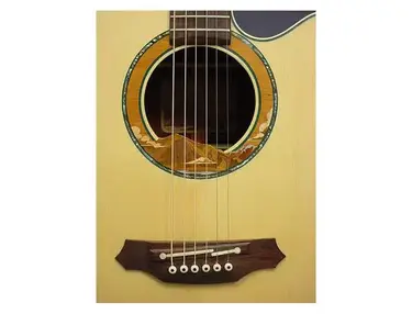 Takamine LTD '99