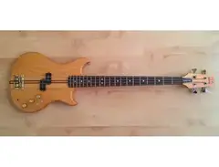 Westone Thunder IA Bass main image