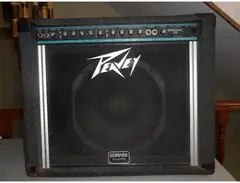 Peavey Special 112