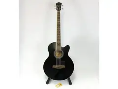 Ibanez AEB5E-BK