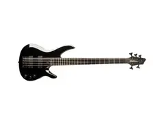 Washburn BB5 main image