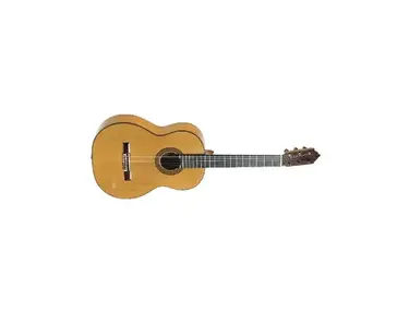 1976 Fernandez Gerundino Flamenco Guitar