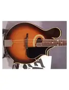 Gibson A-5 Mandolin