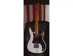 Peavey 1985 Peavey Predator main image