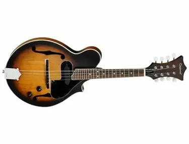 Tanglewood TWMF VSE Union Series Electric Mandolin