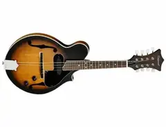 Tanglewood TWMF VSE Union Series Electric Mandolin main image