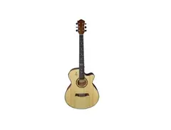 RJ Guitars Huckleberry Acoustic main image