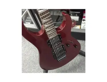 washburn wg 248