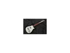 Rickenbacker 1000 main image