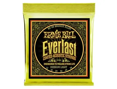 Ernie Ball Everlast 80/20 Bronze Acoustic Guitar Strings (12-54)