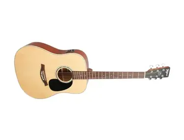 Tagima TW-25