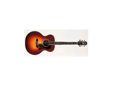 1989 Guild F-46NT Acoustic