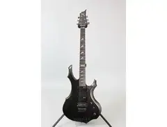 ESP F-200fr main image