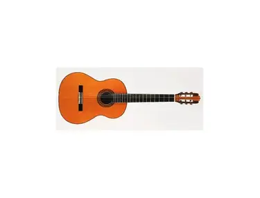 Vicente Sanchis 1990 Flamenco Model 41