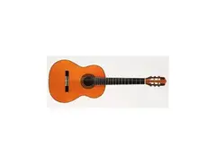 Vicente Sanchis 1990 Flamenco Model 41 main image