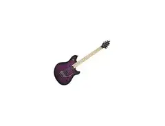EVH Wolfgang Standard