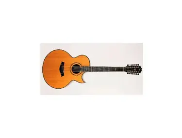 1991 Taylor 955-C