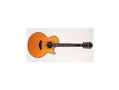 1991 Taylor 955-C main image